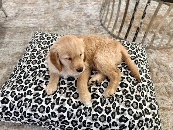 Leopard Dog Bed Cover Animal Print Dog Bed Duvet Personalized Pet Bed Custom Dog Bed Boho Dog Bed Cover Washable in Multiple Sizes Etsy