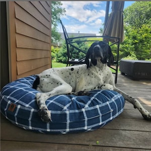 Puede incluir: Un perro blanco y negro con pelo corto está acostado en una cama para perros de cuadros azules y blancos. La cama para perros es redonda y tiene un borde grueso y acolchado. El perro está mirando directamente a la cámara.