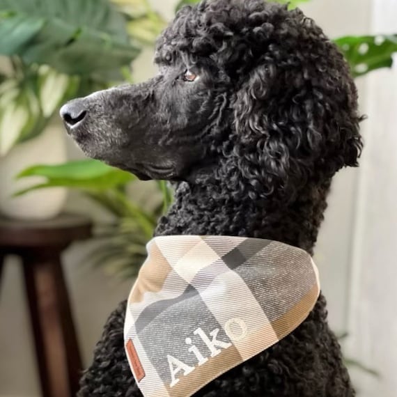 Monogrammed Fall Dog Bandana, Personalized Pet Bandana, Brown & Cream Dog Neckwear, Pet Bandana, Custom Pet Clothing, Embroidered Bandana