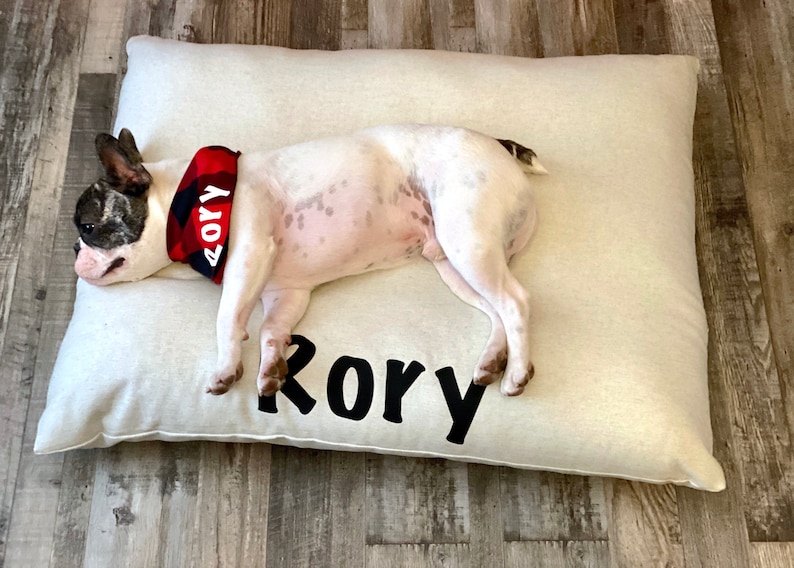 Personalized cream pillow bed w/Frenchie laying down on it wearing a red buffalo print pet bandana personalized with his name