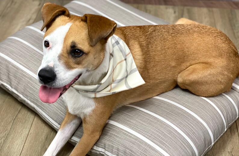 Modern Ecru Stripe Dog Bed Cover Beige Pet Bed Duvet Stripe Etsy