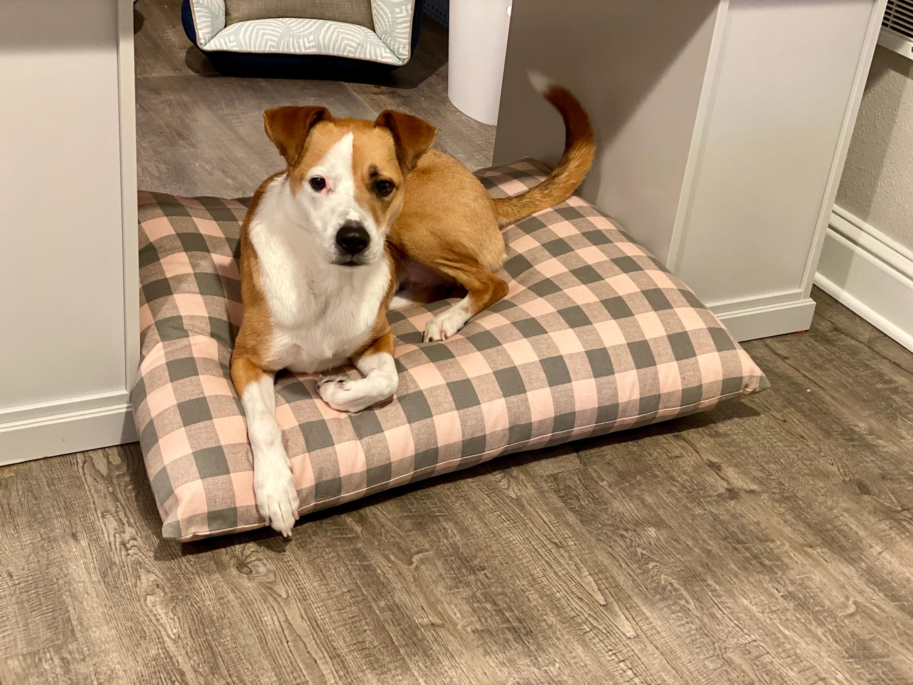 Plaid Dog Bed Cover Australia