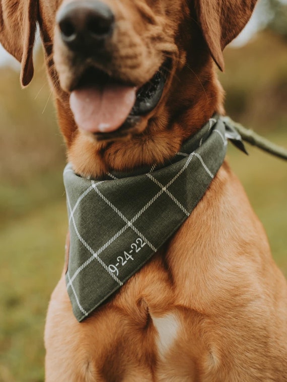Wedding clearance dog bandana