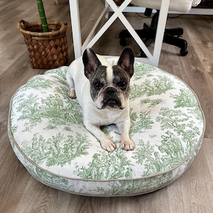 May include: A white and brown French bulldog dog laying on a round, green and white patterned dog bed with a light brown border.