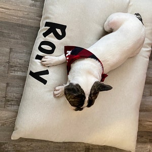 May include: A white dog bed with the name "ROLY" printed in black on the side. A white and brown dog with a red and black bandana is lying on the bed.