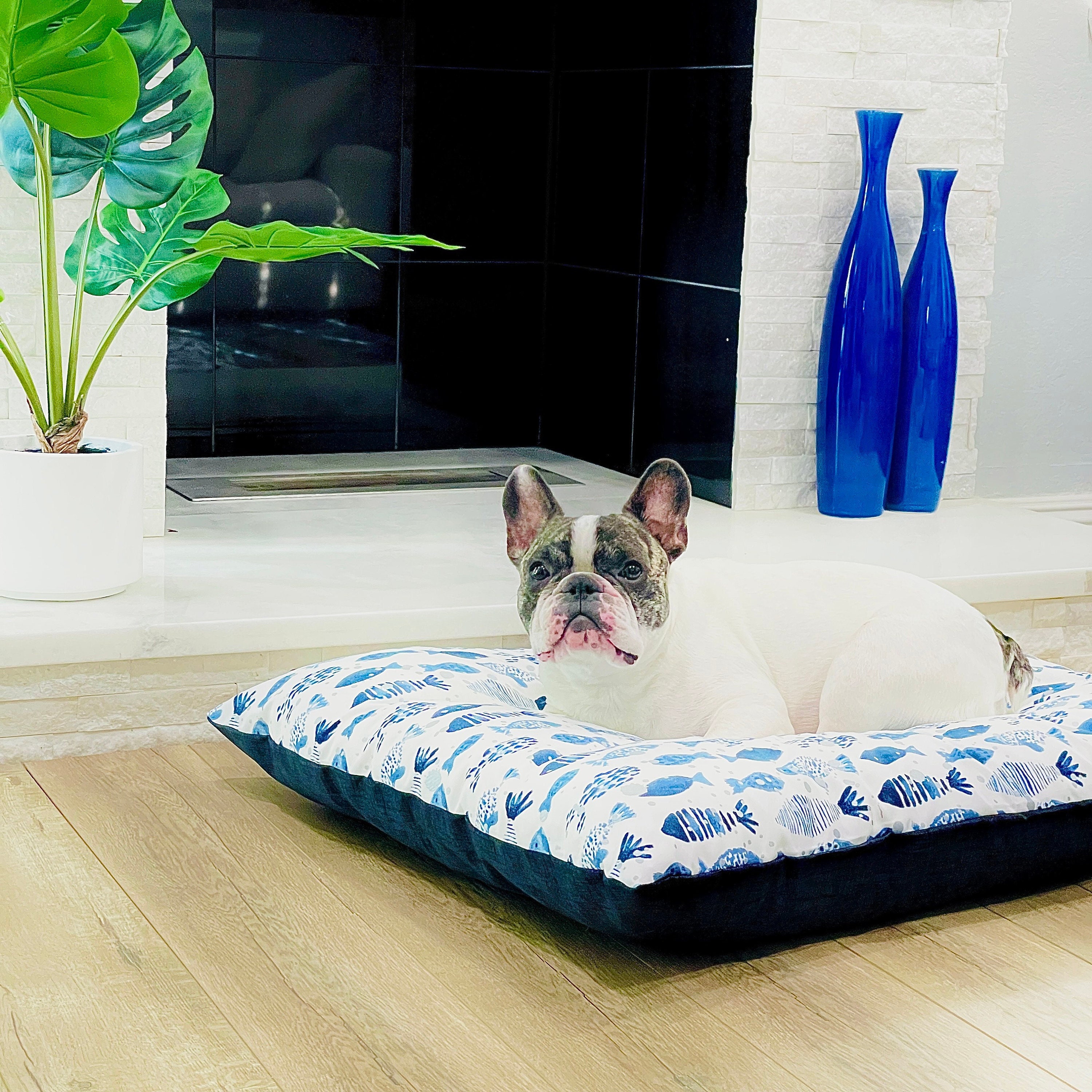 Custom Made Designer Dog Beds & Clothes for Sale