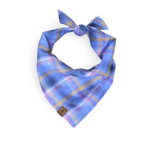 May include: Blue and yellow plaid bandana with a brown leather tag. The bandana is tied in a knot at the top.