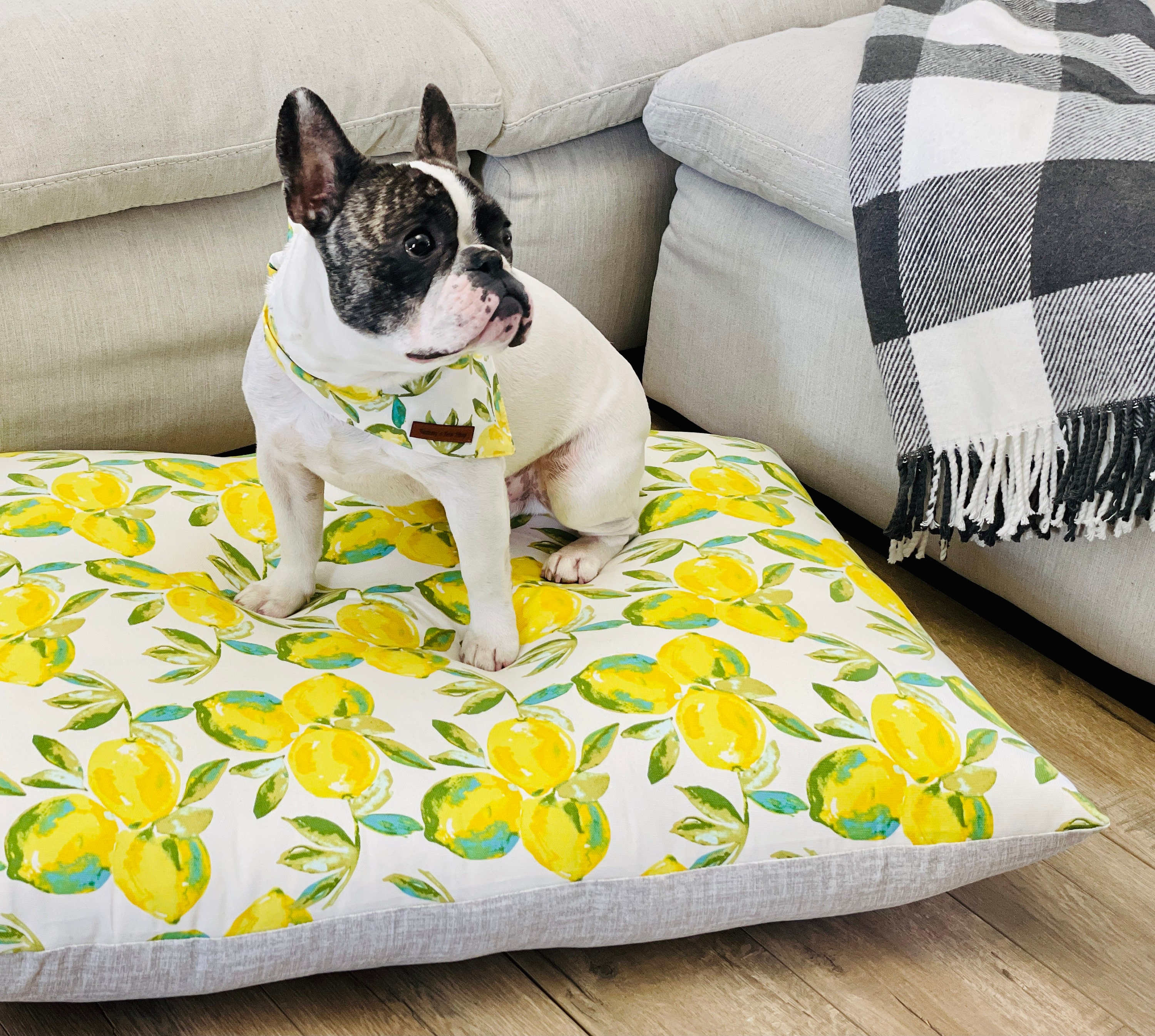 Dog Bed - Donut, Ginkgo Yellow / M