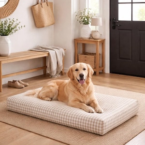 Pode incluir: Um cão Golden Retriever descansa sobre uma cama para cães xadrez bege e branco. A cama retangular está sobre um tapete tecido. O cão está olhando para a câmera. O quarto tem uma paleta de cores neutras.