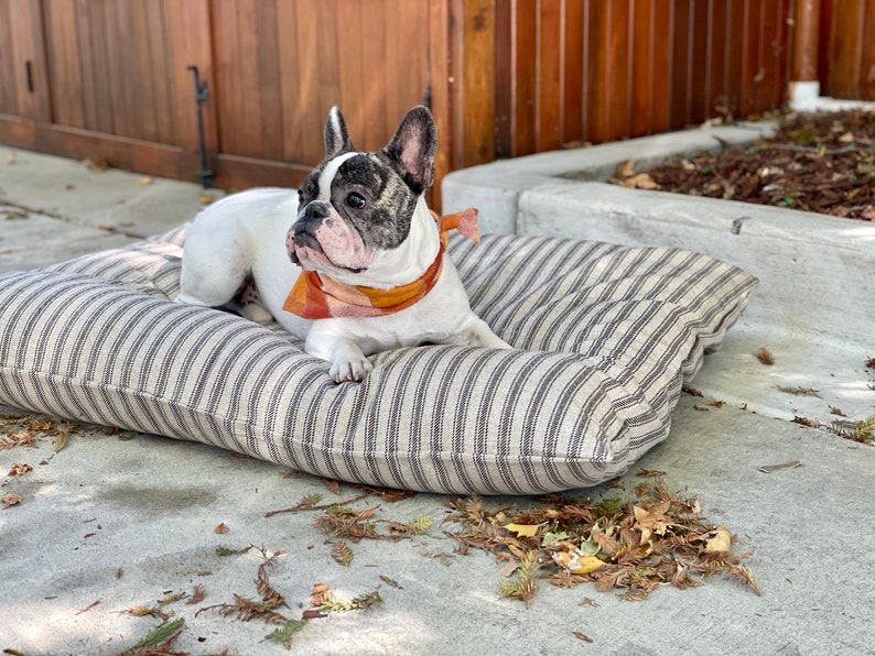 Ticking Stripe Dog Bed Cover / Black and Tan Striped Pet Bed Cover / Dog Bed Duvet / Farmhouse Dog Bed Cover for small to large dogs image 3