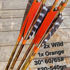 Tonkin Bamboo Cane Target Arrows - Matched Set (6)  - Weight Matched - Handmade In U.S.A - Field Points - Practice Arrows - Orange/Wild Turk