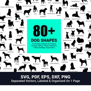 May include: A digital download of 80+ dog silhouettes in black. The silhouettes are labeled with the breed name. The image shows examples of how the silhouettes can be used on a t-shirt, tote bag, and mug. The text "80+ Dog Shapes" is in a turquoise blue box. The text "100% Dog Filled Memories Included" is in black text. The text "Works with any printer or cutting machine" is in black text. The text "Save Time, Super Easy to Use" is in black text. The text "SVG, PDF, EPS, DXF, PNG" is in black text. The text "Separated Vectors, Labeled & Organized On 1 Page" is in black text. The text "100% Satisfaction Guarantee" is in black text. The text "Easily Build & Customize Your Project The Way You Want" is in black text. The text "Save Yourself Days Of Time, Energy & Frustration" is in black text. The text "Create That Perfect Moment For You or A Loved One" is in black text. The text "$14.99 $2.99" is in black text. The text "80% Off Sale Today (Limited Time)" is in a yellow circle with black text.