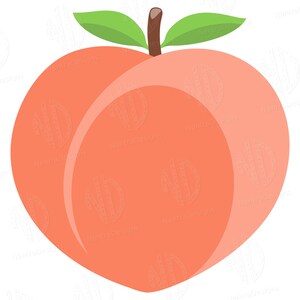 Op de afbeelding: Een perzik met een enkel groen blad aan elke kant van de steel. De perzik is helder oranje-rood.