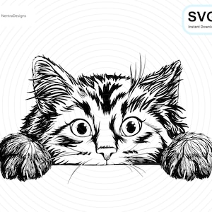 Puede incluir: Un dibujo en blanco y negro de un gato asomándose por encima de una superficie con sus patas sobre la superficie. El gato tiene ojos grandes y una apariencia esponjosa.