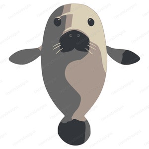 May include: A cartoon illustration of a gray and brown seal with black flippers and a black nose. The seal is facing the viewer with its mouth closed.