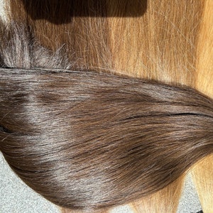 May include: A long, straight strand of dark brown human hair.