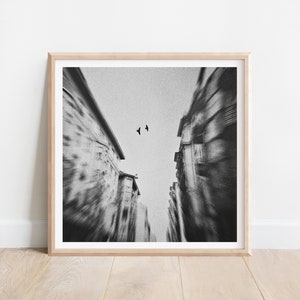 Fine Art Print, City Street Poster, Flying Bird Print, Black and White Wall Art, Bird Photography, Budapest Cityscape, Living Room Decor