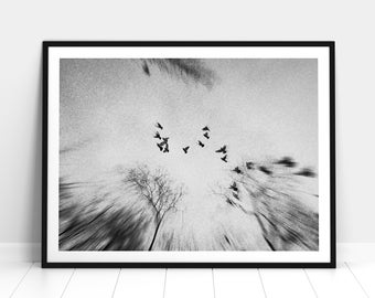 Minimal Fine Art Print - Flock of Birds Poster, Black and White Wall Art, Flying Bird Photography, Living Room Decor