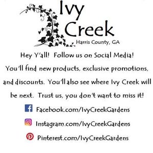 May include: A black and white image of a vine with leaves, with the text "Ivy Creek" and "Harris County, GA". The text "Hey Y'all! Follow us on Social Media! You'll find new products, exclusive promotions, and discounts. You'll also see where Ivy Creek will be next. Trust us, you don't want to miss it!" is below the logo. Below the text are social media icons and links for Facebook, Instagram, and Pinterest.