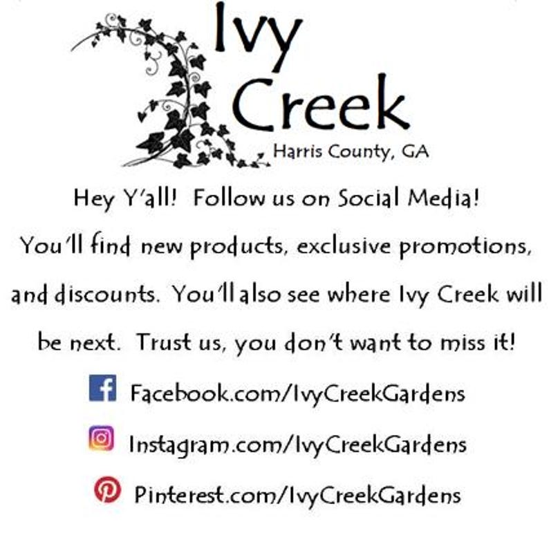 May include: A black and white image of a vine with leaves, with the text "Ivy Creek" and "Harris County, GA". The text "Hey Y'all! Follow us on Social Media! You'll find new products, exclusive promotions, and discounts. You'll also see where Ivy Creek will be next. Trust us, you don't want to miss it!" is below the logo. Below the text are social media icons and links for Facebook, Instagram, and Pinterest.