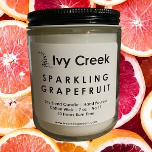 Sparkling Grapefruit Soy Candle - Hand Poured 7oz