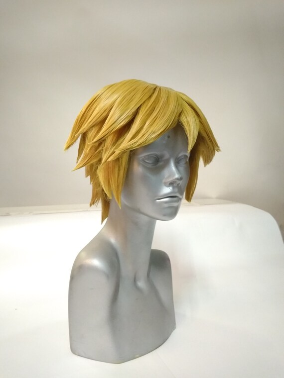 Miraculous Ladybug Adrien Agreste Chat Noir Wig