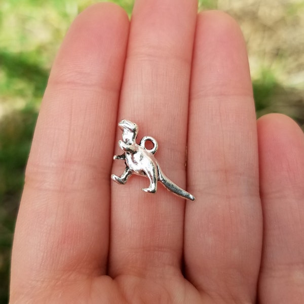 10 Pieces 3D Dinosaur Charm, Antique Silver Tone Dinosaur Pendant, Dinosaur Charm, T-Rex Charm, B14767H