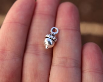 1 PIECE Tiny Acorn Charm Antique Silver Tone, Acorn Charm, Silver Tone Acorn, Fall Charms, Forest Charms B0082216