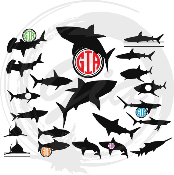 Download Shark SVG shark monogram frame svg shark clipart decals | Etsy