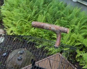 Organic Apple Wood Bird Cage Perch with Stainless Steel Mounting Hardware