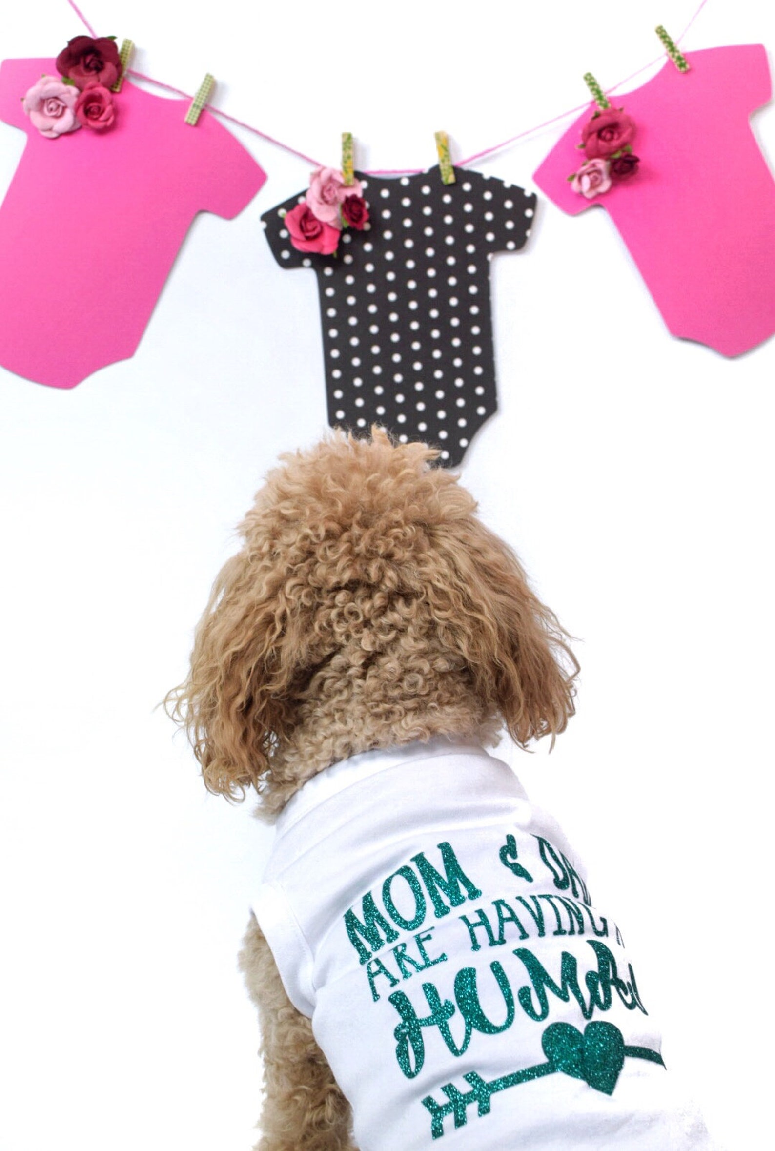 Dog Shirt Baby Announcement Dog Clothes Dog Big Sister Big Etsy