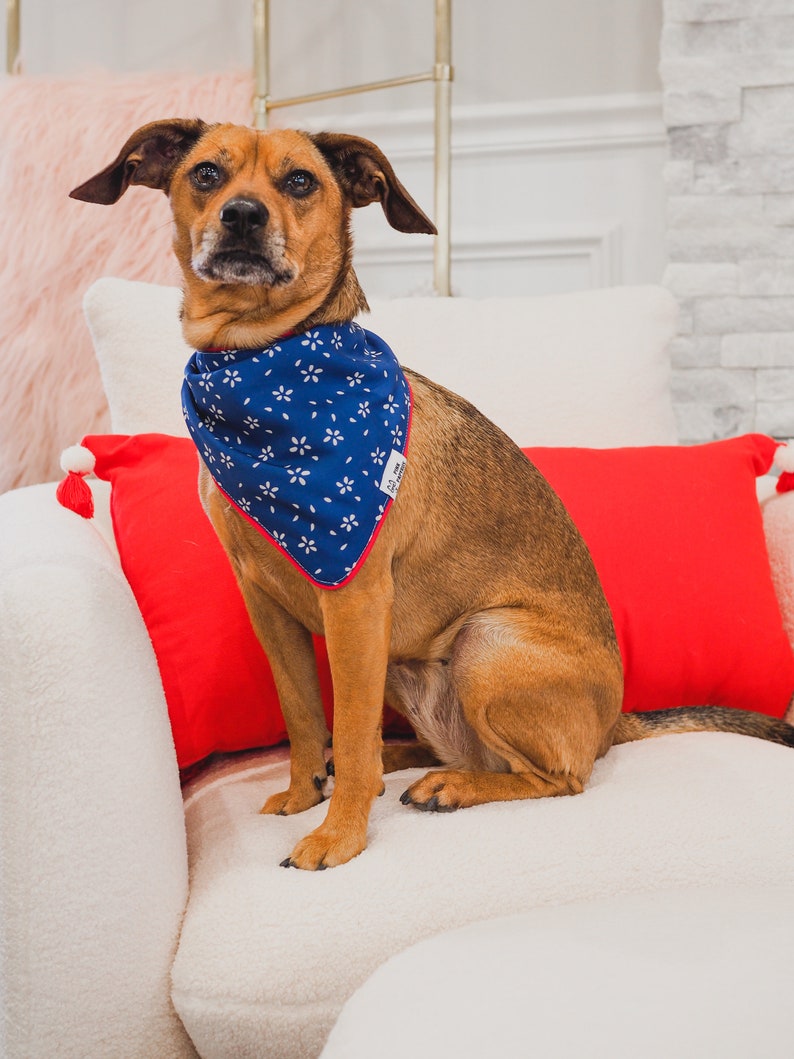 Blue Dog Bandana Reversible Print Dog Bandana Reversible Etsy