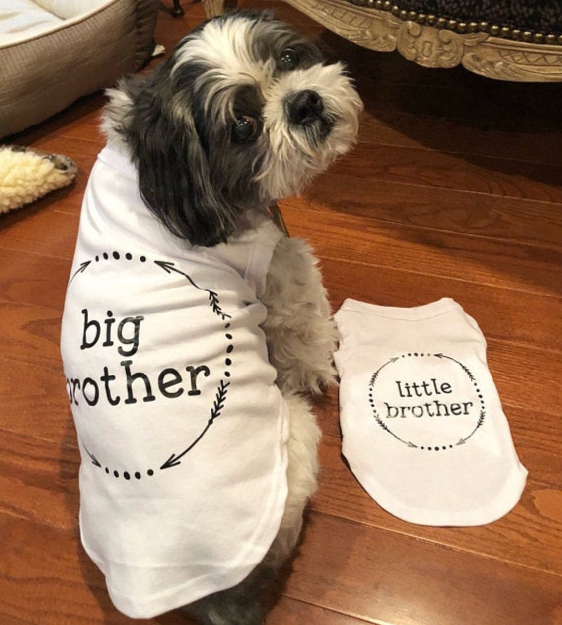 Dog Clothes Big Brother Dog Shirt Dog Big Brother Dog Big Etsy