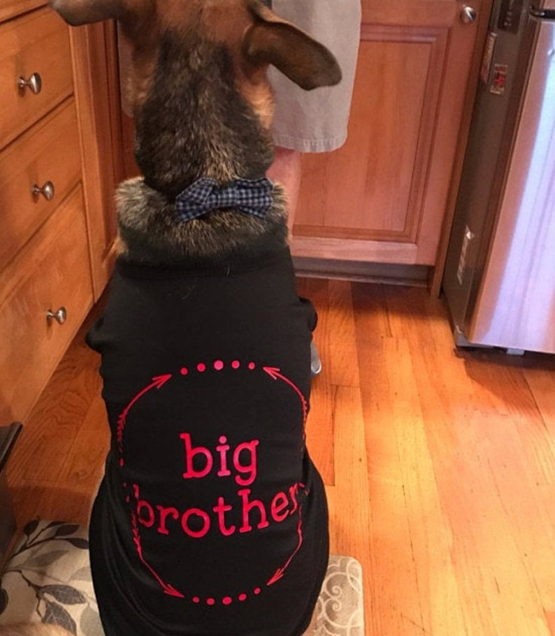 Dog Shirt for Dogs Big Brother Dog Shirt Dog Big Brother Dog Etsy