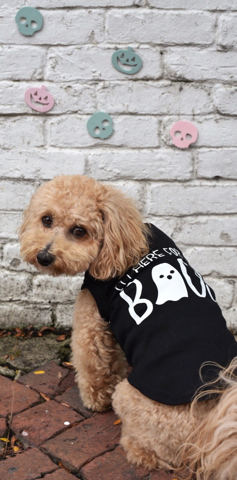 Dog Halloween Shirt Halloween Dog Shirt Halloween Dog Costume  Etsy