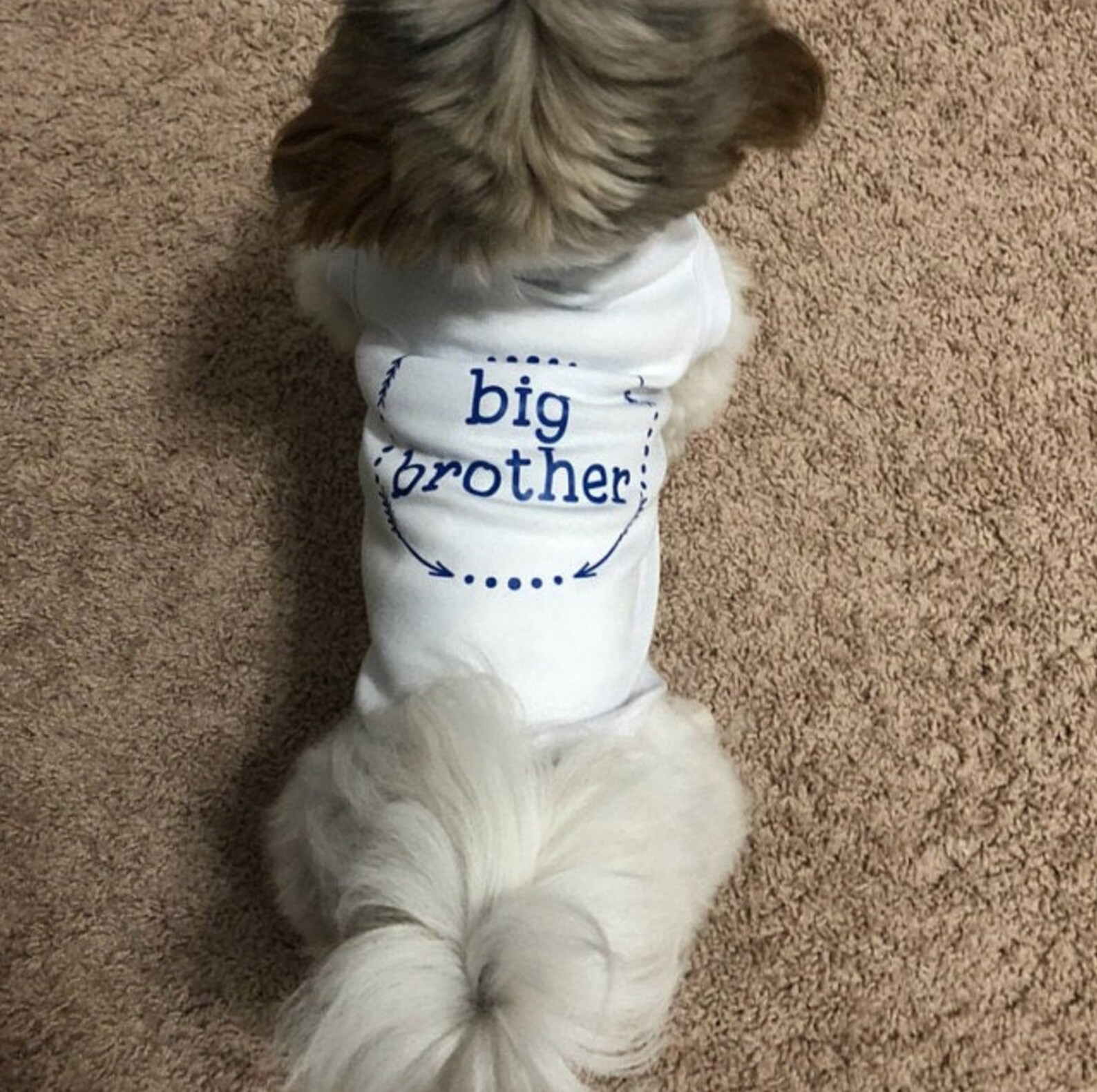 Dog Clothes Big Brother Dog Shirt Dog Big Brother Dog Big Etsy