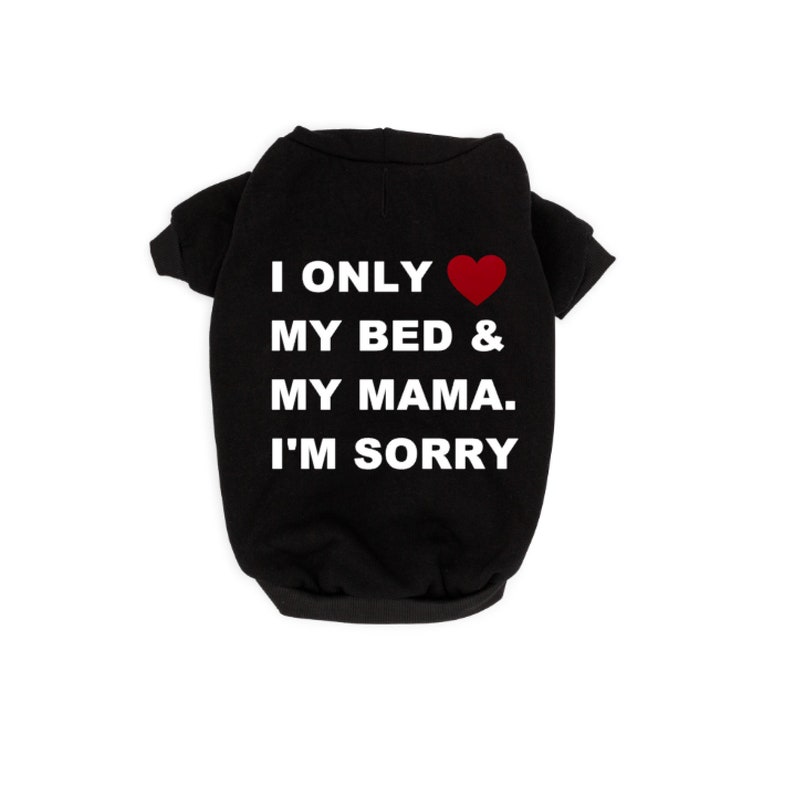 Funny Dog Sweater Drake Dog Hoodie Funny Dog Hoodie Custom Dog Etsy