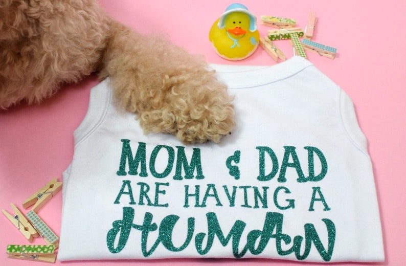 Dog Shirt Baby Announcement Dog Clothes Dog Big Sister Big Etsy