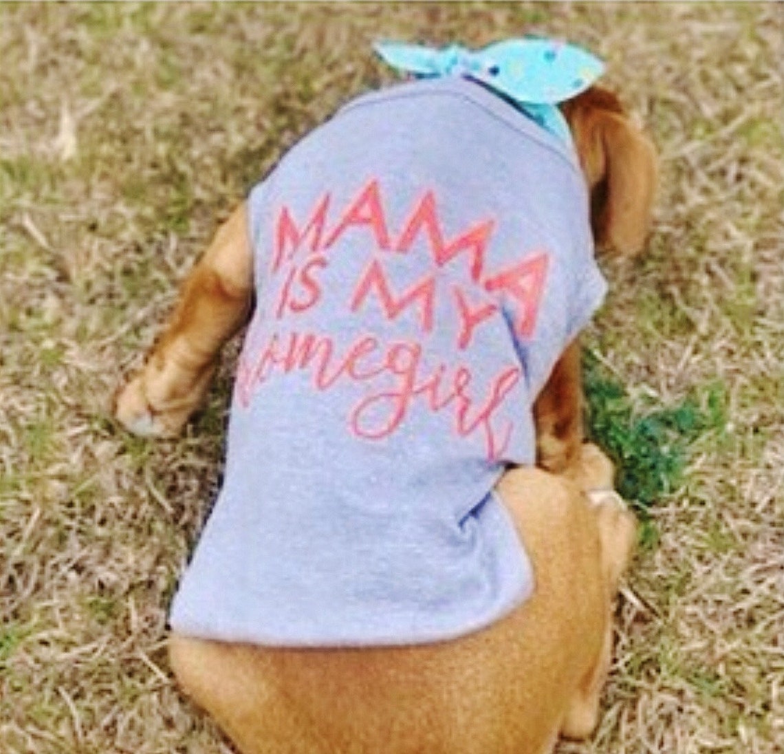 Dog Shirts for Dogs Personalized Dog Shirt Dog Onesie Dog Etsy