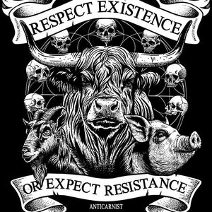 Vegan t shirt, Vegan t-shirt, Vegan tshirt, Anticarnist, Vegan Clothing, Vegan Metal, Respect Existence or Expect Resistance image 2