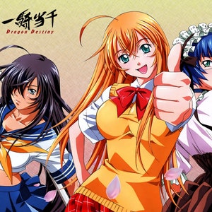 Shin Ikkitousen Gifts & Merchandise for Sale