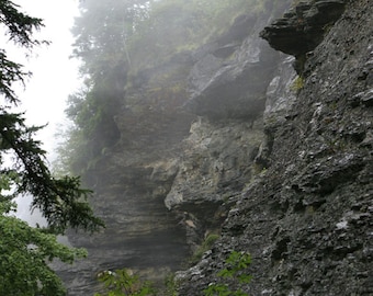 Fog on the Bluff, Alum Cave Trail