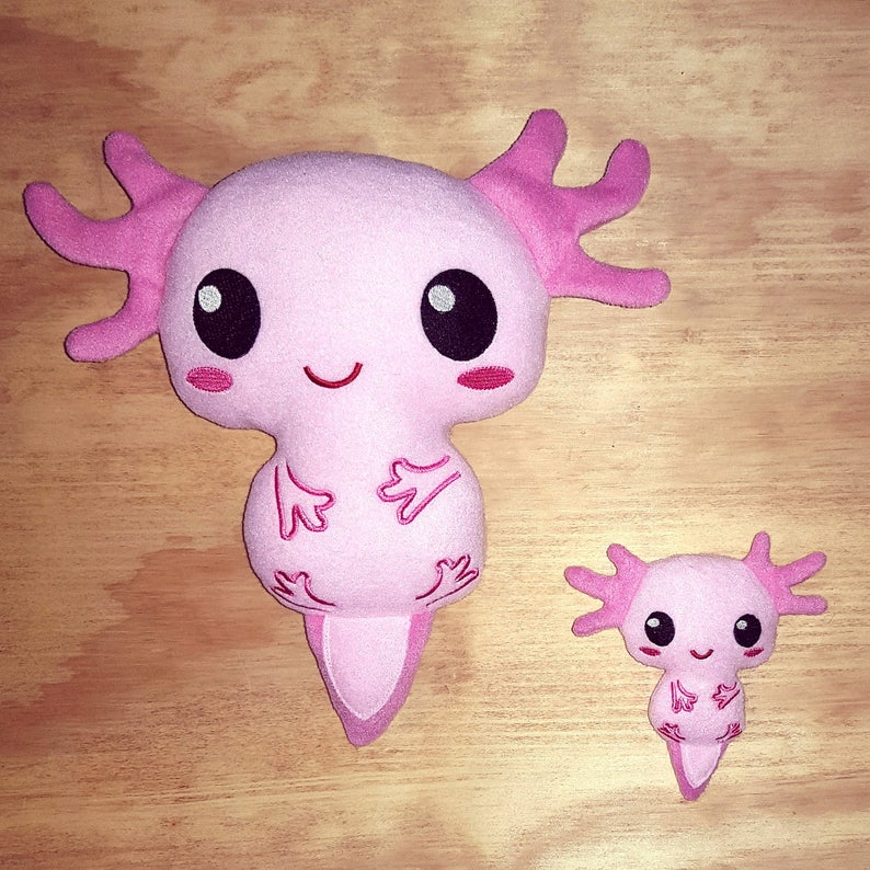 Axolotl amphibian ith embroidery pattern  etsy