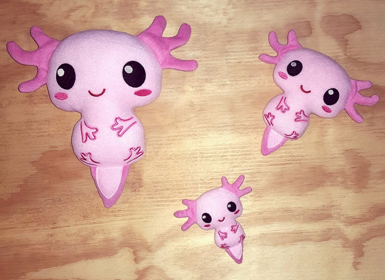 Axolotl amphibian ith embroidery pattern  etsy