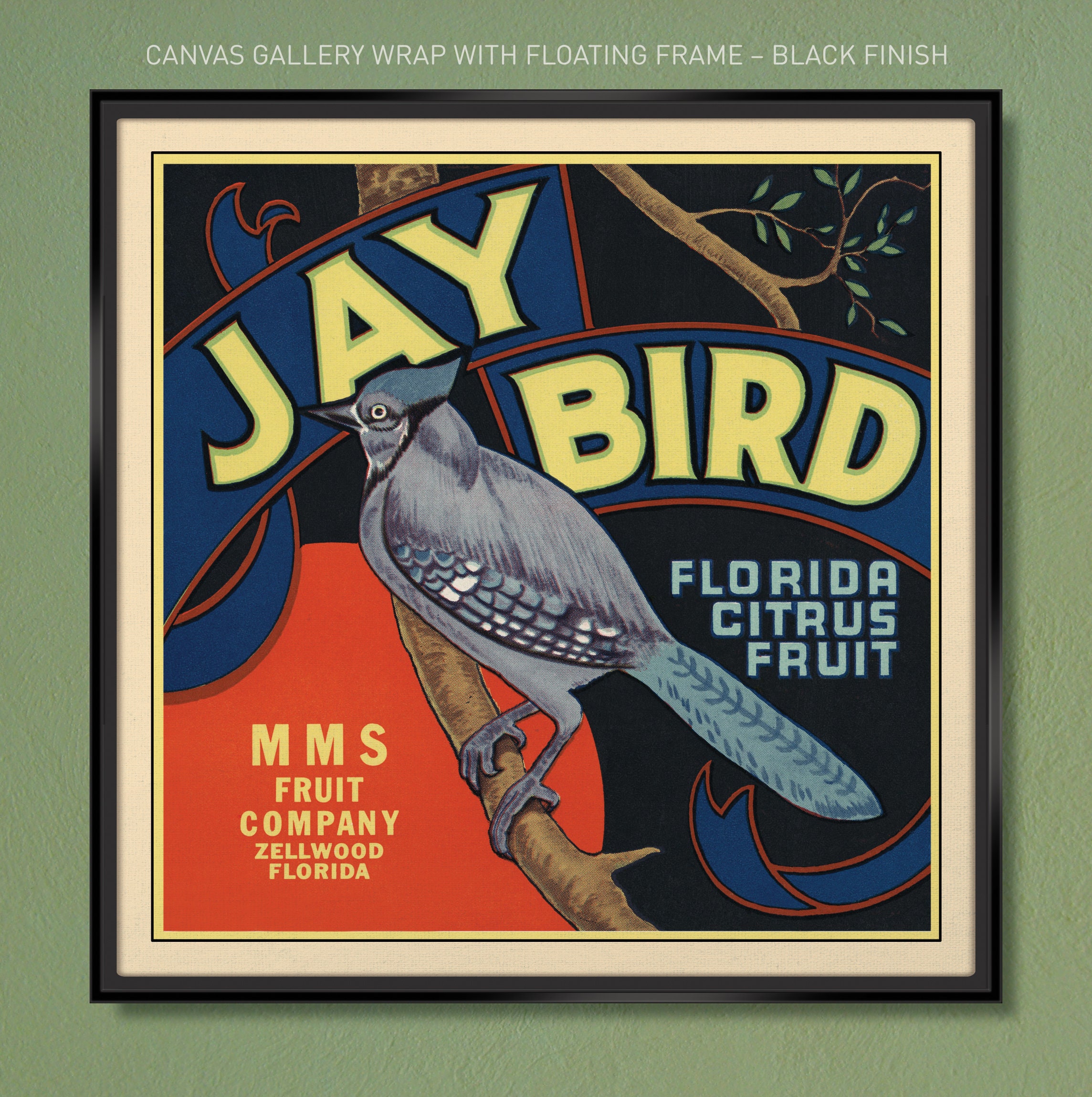 Jay Bird Brand – Citrus – Zellwood, Florida (vintage Fruit Crate
