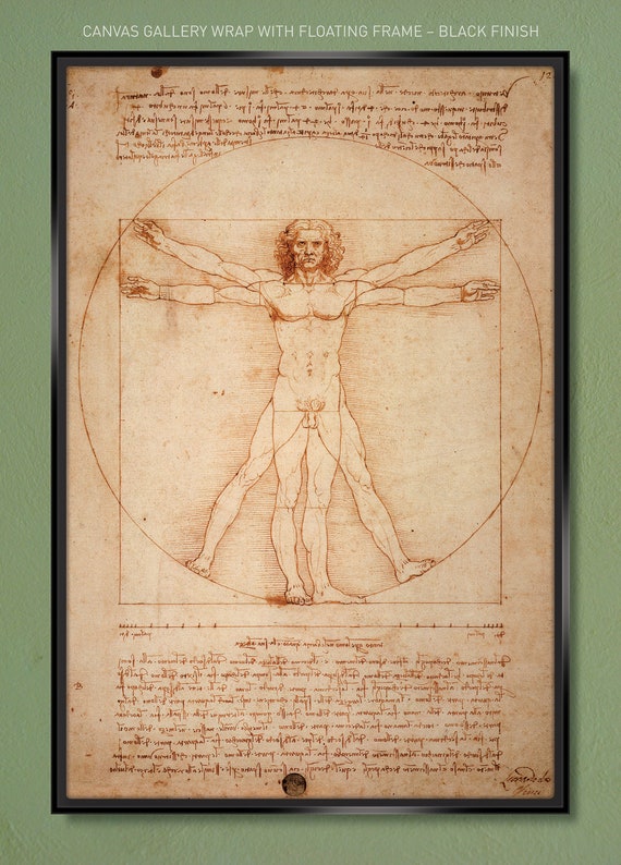 Dibujos de Leonardo da Vinci