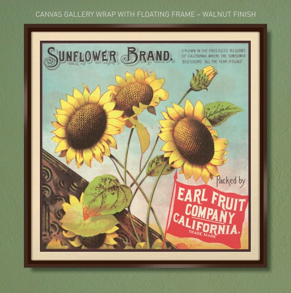 Vintage Sunflower Brand Art – California Fruit Crate Label Poster