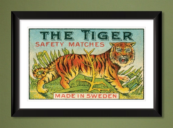 Stunning Wildlife White Tiger Art Silk Poster 12x18 24x36