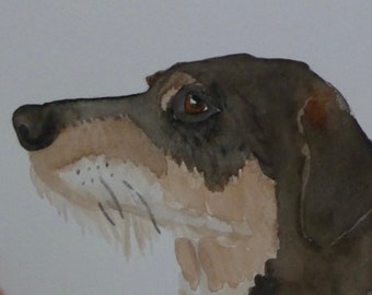 Watercolour Brown Hound