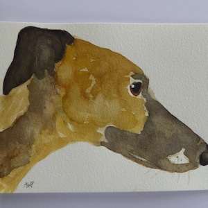 Watercolour Lurcher Portrait
